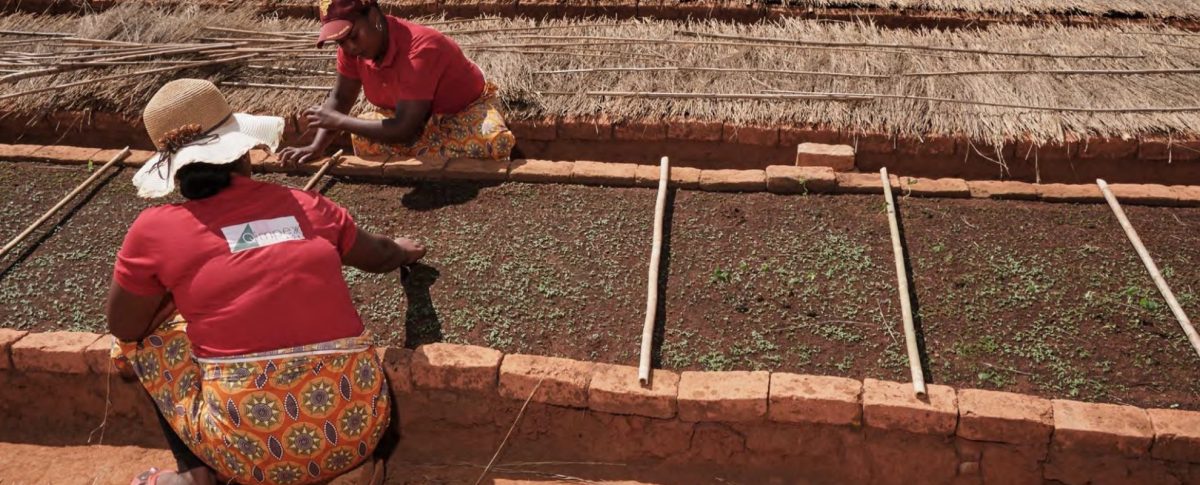 Twee vrouwen planten bomen in Madagaskar.