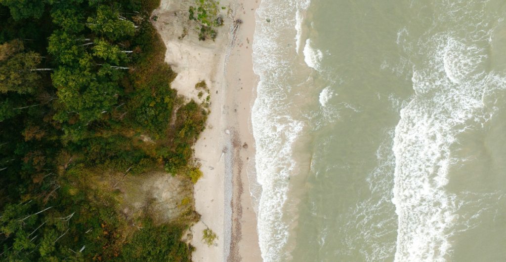 Luchtfoto van een kustlijn met weelderig groen bos dat een zandstrand en de zee ontmoet.